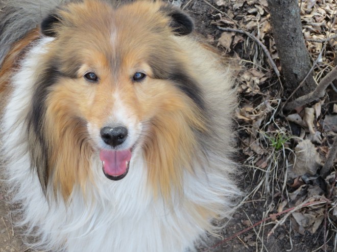 687B801C-9620-4F3B-AB5C-92928066B515