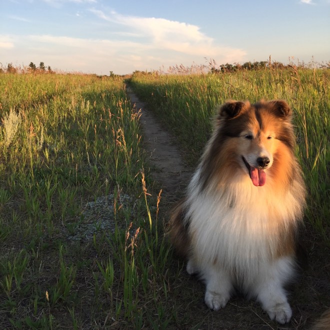 5A7B765C-6F81-47EC-99D7-736C16136B3F