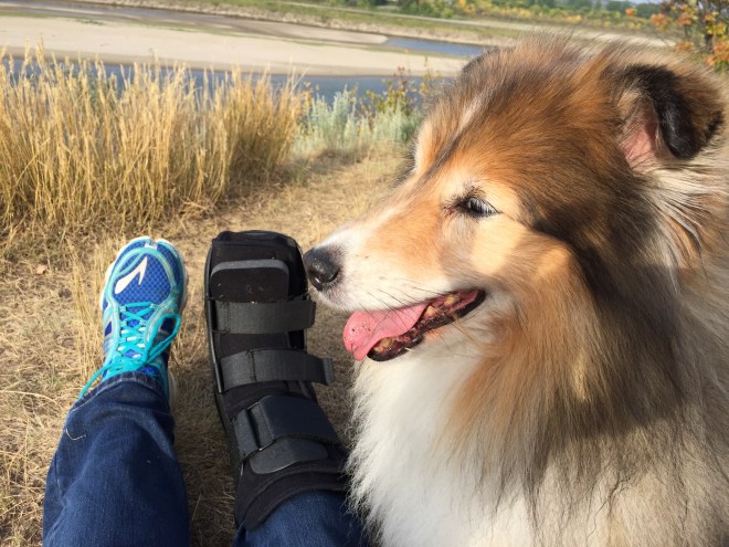 10E50BA7-7521-473D-9783-24DADA929560