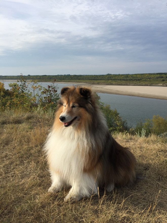 B4F59B3F-43AA-4D1E-94E5-4E9F4819B153