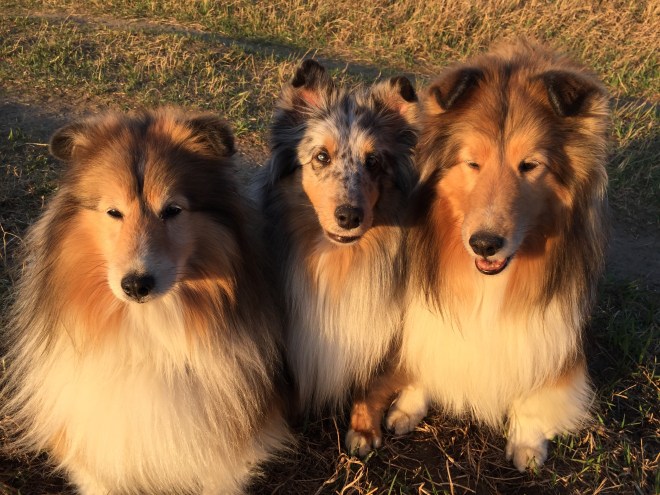 8F0A0759-FE7A-4FD8-A87B-A3562764E16D