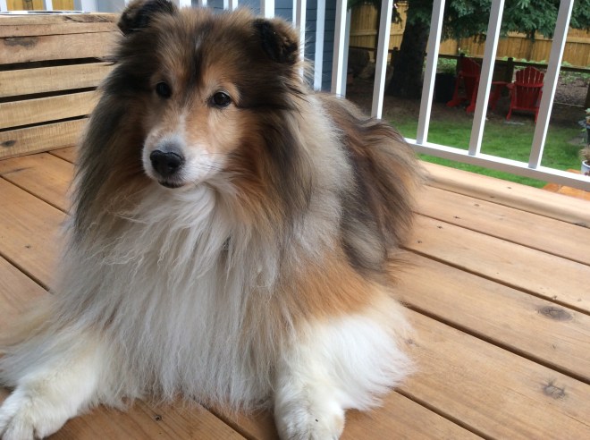 E12CC3C3-A156-4731-94D6-597C1AB88DFC